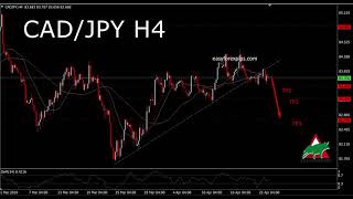 Easy Forex Pips 23 April FREE signal CADJPY sell at 8370 Hit TP3 100pips [upl. by Terrel]