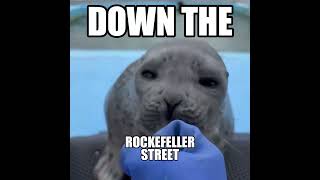 1273 DOWN THE ROCKEFELLER STREET 👏👏 seal [upl. by Bushore]