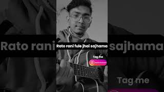 Sing Together  Rato Raniguitarshortsnepal [upl. by Aldus]