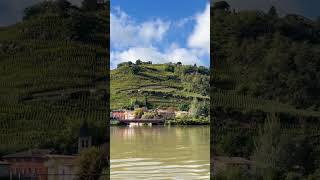 Sailing along the Rhone River France [upl. by Natye]