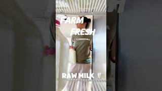 Farm Fresh Raw Milk 🥛  Why We Choose Raw Milk Instead raworganic realorganic [upl. by Kurys]