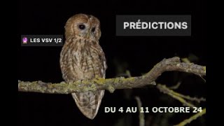 411 OCTOBRE 2024  GUIDANCE LES VSV 12 🔮 [upl. by Corliss]