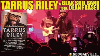 Tarrus Riley amp Blak Soil Band  Superman in Dortmund Germany October 2nd 2014 [upl. by Tnomad]