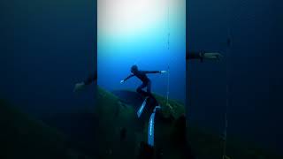 tenerife apnea freediving ocean canarias tenerife4k underwater wreck oceano [upl. by Violante760]