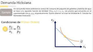 MICROECONOMÍA I  Teoría del Consumidor Demanda Hicksiana  Ejemplo Parte I [upl. by Sakovich]