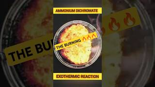 AMMONIUM DICHROMATE  Exothermic Reaction of Ammonium Chromate Snay64 ytshorts [upl. by Tini]