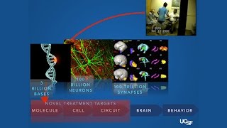 Tracing the Path from Spontaneous Mutation to Neurobiology in Autism Spectrum Disorders [upl. by Fritzie823]