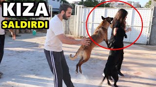 KÖPEKLERİM KIZA SALDIRDI TAKİPÇİM GELDİĞİNE PİŞMAN OLDU [upl. by Animehliw]