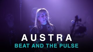 Austra  Beat and the Pulse  First Play Live [upl. by Malchy]