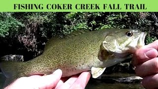 Coker Creek Waterfall Fishing and Hiking [upl. by Notsag]