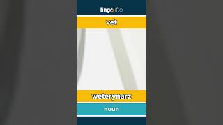 🇬🇧🇵🇱 vet  weterynarz  vocabulary builder  learn English  Uczmy się angielskiego [upl. by Doownel]