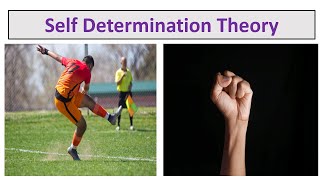 Self Determination Theory of MotivationUrduHindi [upl. by Leuas515]