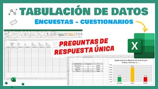 Excel  Tabulación de datos de una encuesta  Para tesis proyectos de aplicación e investigación [upl. by Ayila342]