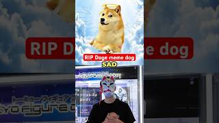 RIP Doge meme dog [upl. by Nayrb]