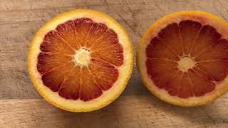 Tarocco Blood orange harvest 4K Grown in the UK flower to fruit UKCitrus Bloodoranges [upl. by Ocko]