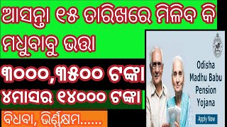 ଏହି ୧୫ ତାରିଖରେ ମିଳିବ କି ମଧୁବାବୁ ଭତ୍ତା। How to get madhubabu pensionmadhubabupension [upl. by Gwendolin]