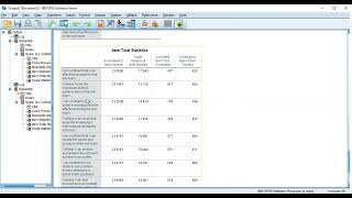 Reliability testCronbach alpha in SPSS Pilot Testing [upl. by Fiske]