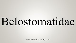 How To Say Belostomatidae [upl. by Ahsart]