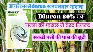 Diurex herbicide Adama Diuron 80WP [upl. by Saucy588]