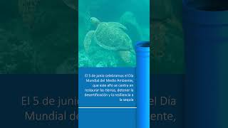 Miércoles sostenible – Día Mundial del Medio Ambiente 2024 [upl. by Shamus]