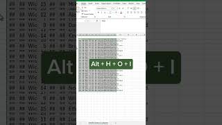 VBA Expert Shares Top Autofit Techniques for Excel Rows and Columns [upl. by Nelyk425]