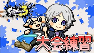 【スプラ３】ナワバリ対抗戦がんばるぞ～ w 兎宇宙☆ぶい 真ん丸 しおん ペイマクス スプラトゥーン3） [upl. by Cave]