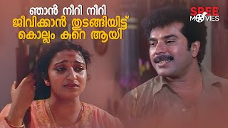 ഞാൻ നീറി നീറി ജീവിക്കാൻ തുടങ്ങിയിട്ട് കൊല്ലം കുറെ ആയി  Mammootty  Arayannegalude Veedu [upl. by Donald]