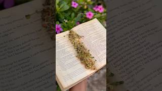 Grow plants in a Book 📖 without soil [upl. by Sibylle]