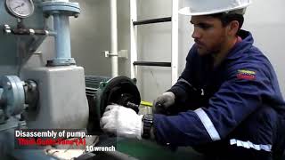 Sewage Discharge Pump Inspection 4th eng [upl. by Nuahsyt]