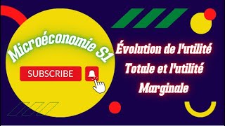 Microéconomie S1 Partie 2 Utilité Totale et Utilité Marginale [upl. by Teeniv825]