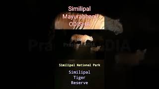 Similipal National Park  Similipal Mayurabhanj Odisha  Similipal Tiger Reserve [upl. by Adlihtam]