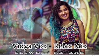 Vidya Vox Songs  Slowed amp Reverb  Chilled Mix  Relax Music LOFI version [upl. by Azmah32]