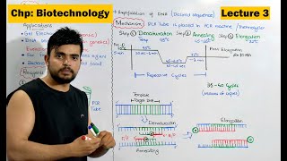 PCR  Polymerase Chain Reaction  Video 3 [upl. by Notac]