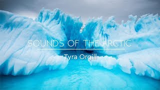 SOUNDS OF THE ARCTIC  Relaxing Winter Music amp Arctic Sounds  Background Music Sleep Music ✦ 2 [upl. by Crowe]