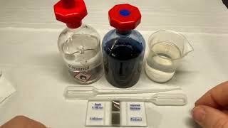 Haemocytometer and Serial Dilution [upl. by Suruat]