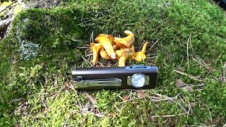 TrustFire MINI X3 EDC Flashlight ReviewVorstellung mit barfuß Nachtwanderung 1050 Lumen trustfire [upl. by Robena]