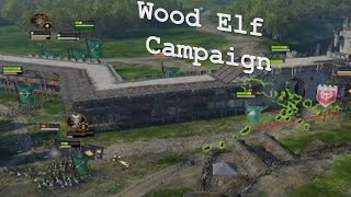 Wood Elf Campaign  Part 2 [upl. by Rawde]