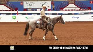 AQHA VRH World Championship Show Judges Perspective [upl. by Iadrahs201]