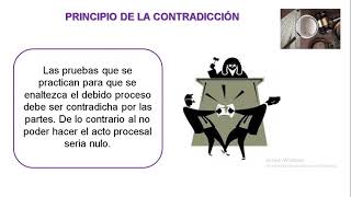 LOS PRINCIPIOS DEL DERECHO PROBATORIO [upl. by Garnett146]