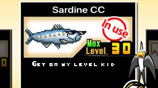 MOLA MOLA SARDINE META [upl. by Akemad604]