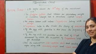 LUTEAL PHASE MENSTURAL CYCLE HUMAN REPRODUCTION CLASS 12 [upl. by Osugi466]