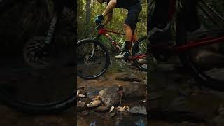 Weve been riding the Superior Bikes XP 919 from bikes online the past few weeks mtb rockgarden [upl. by Huntington813]