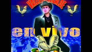 Amor A La Ligera Norteño  Valentin Elizalde [upl. by Sutniuq]