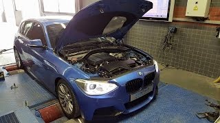 BMW F20 116i M Sport  Sport Exhaust Cold Start [upl. by Idyh845]