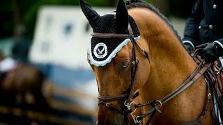 7 Years  Equestrian Music Video [upl. by Cordle]