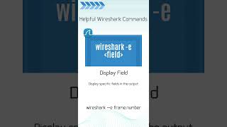 Wireshark Command Display Field [upl. by Fredi]