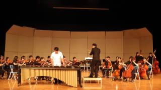 Emmanuel SejourneMarimba Concerto mov 1 performance by TingChun Yeh [upl. by Arded934]