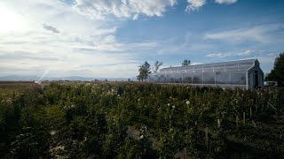 Exploring the Ceres Barn Kit Greenhouse Hybrid Design Benefits for a Wyoming Farmer [upl. by Ma]