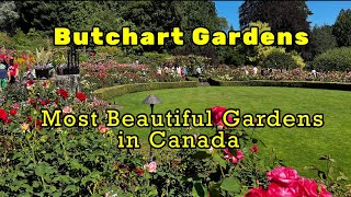 Butchart Gardens  Full Walking Tour 4K  Victoria BC  July 2024 [upl. by Whalen]