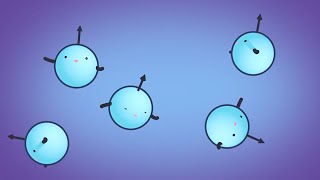 MRI Physics  Magnetic Resonance and Spin Echo Sequences  Johns Hopkins Radiology [upl. by Ajnat404]